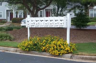 Mailboxes in spring on Hampshire